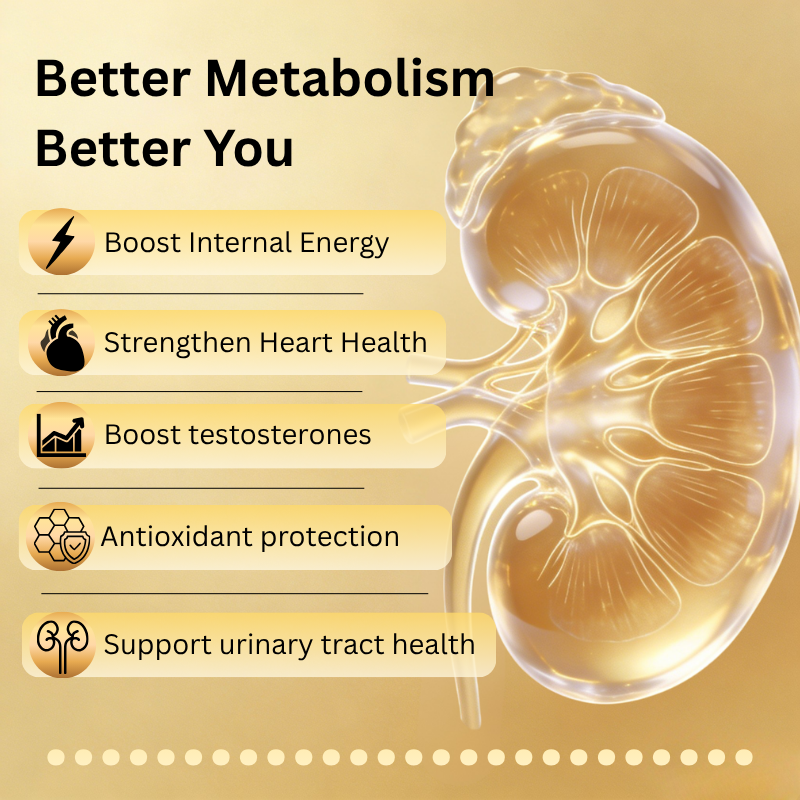 MENTAAP SIGMA MENS VITALITY BOOSTER - KKM & NPRA & HALAL APPROVED
